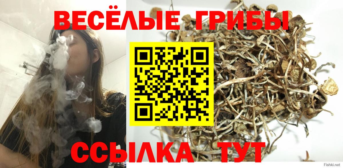 Псилоцибиновые грибы MAGIC MUSHROOMS Гуково